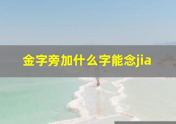 金字旁加什么字能念jia