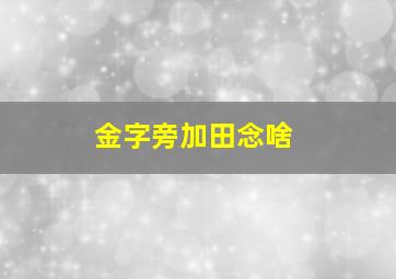 金字旁加田念啥