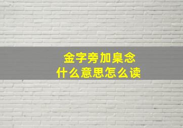 金字旁加臬念什么意思怎么读