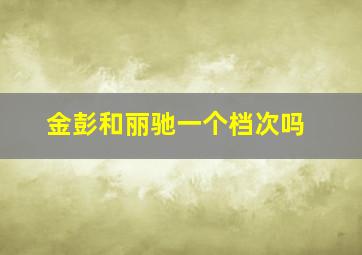 金彭和丽驰一个档次吗