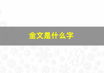 金文是什么字