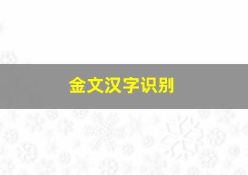 金文汉字识别