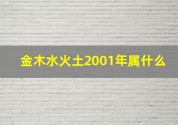 金木水火土2001年属什么