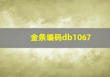 金条编码db1067