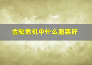 金融危机中什么股票好