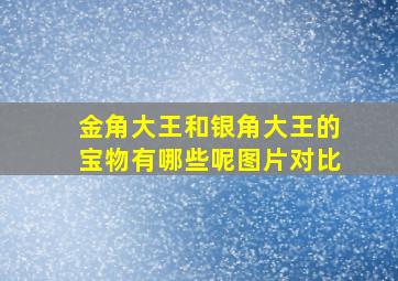 金角大王和银角大王的宝物有哪些呢图片对比