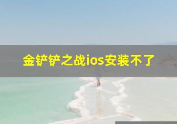 金铲铲之战ios安装不了