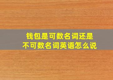 钱包是可数名词还是不可数名词英语怎么说