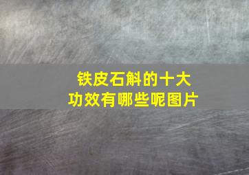 铁皮石斛的十大功效有哪些呢图片