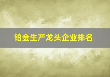 铂金生产龙头企业排名