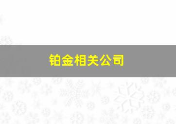 铂金相关公司