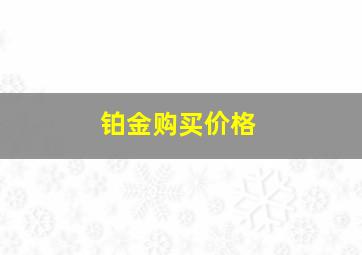 铂金购买价格