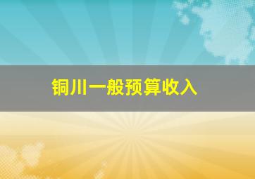 铜川一般预算收入