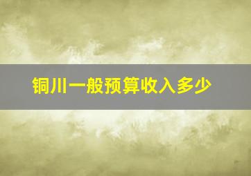 铜川一般预算收入多少