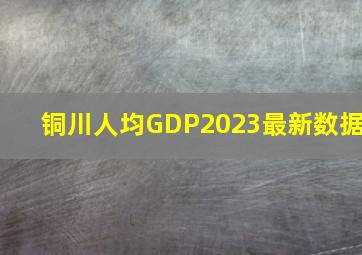 铜川人均GDP2023最新数据