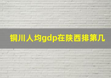 铜川人均gdp在陕西排第几