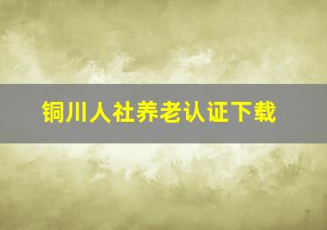 铜川人社养老认证下载