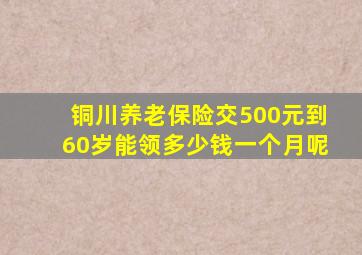 铜川养老保险交500元到60岁能领多少钱一个月呢