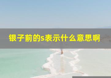 银子前的s表示什么意思啊