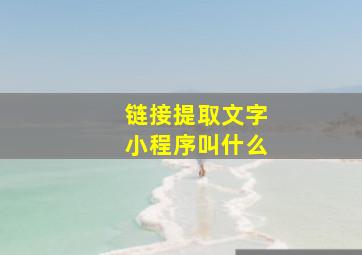 链接提取文字小程序叫什么