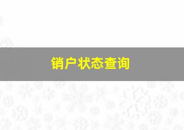 销户状态查询