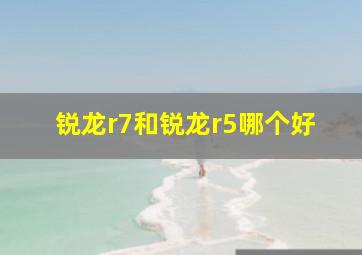 锐龙r7和锐龙r5哪个好