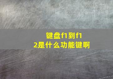 键盘f1到f12是什么功能键啊