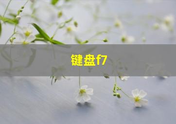 键盘f7