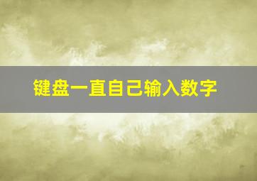 键盘一直自己输入数字