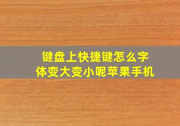 键盘上快捷键怎么字体变大变小呢苹果手机