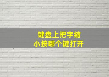 键盘上把字缩小按哪个键打开