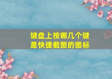 键盘上按哪几个键是快捷截图的图标