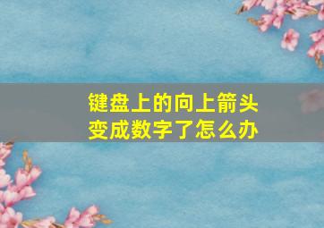 键盘上的向上箭头变成数字了怎么办