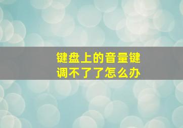 键盘上的音量键调不了了怎么办