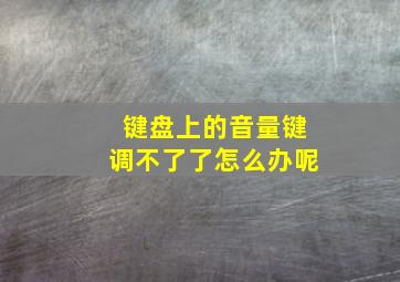 键盘上的音量键调不了了怎么办呢