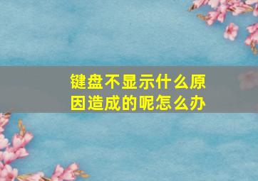 键盘不显示什么原因造成的呢怎么办