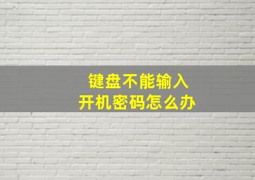 键盘不能输入开机密码怎么办