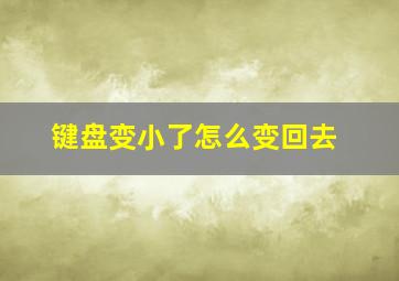 键盘变小了怎么变回去