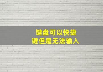 键盘可以快捷键但是无法输入