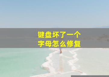 键盘坏了一个字母怎么修复