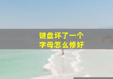 键盘坏了一个字母怎么修好