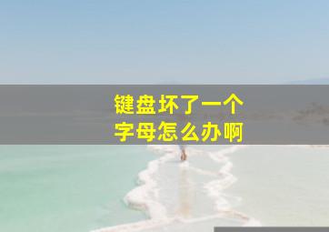 键盘坏了一个字母怎么办啊