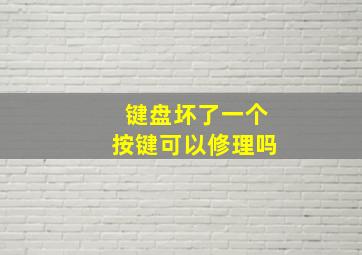 键盘坏了一个按键可以修理吗