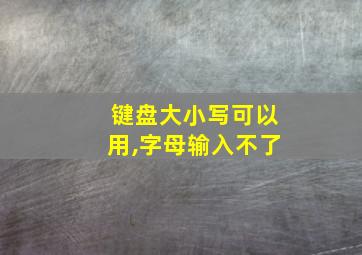 键盘大小写可以用,字母输入不了