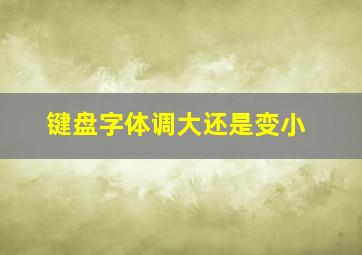 键盘字体调大还是变小