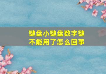 键盘小键盘数字键不能用了怎么回事