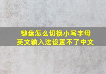 键盘怎么切换小写字母英文输入法设置不了中文