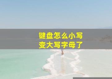 键盘怎么小写变大写字母了