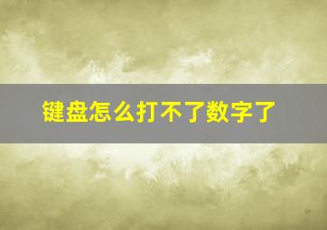 键盘怎么打不了数字了