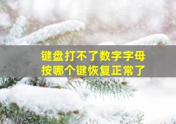 键盘打不了数字字母按哪个键恢复正常了